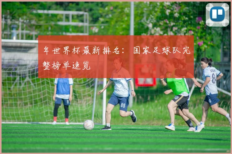 年世界杯最新排名：国家足球队完整榜单速览