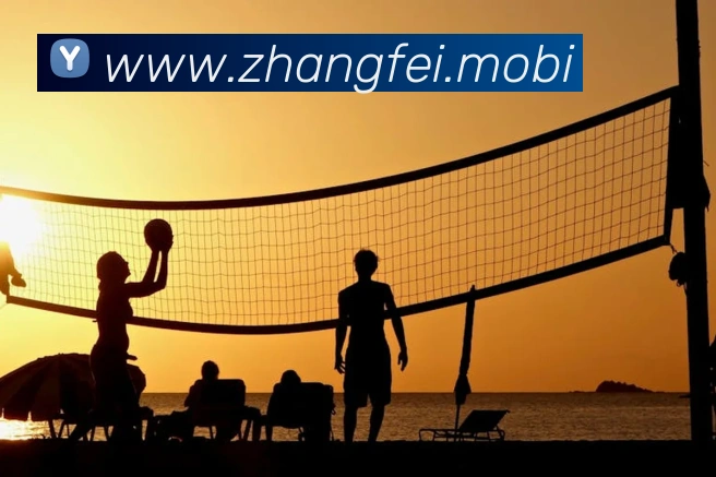 云开体育app官网入口登录网页版APP 封面图